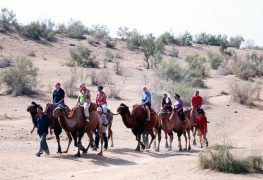 Aydarkul Lake Yurt Camp and Camel Safari 3 days