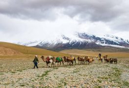 Тур по Шелковому пути: Кыргызстан, Китай (Кашгар Синьцзян-Уйгурский автономный  район), Узбекистан